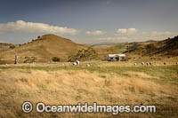 Farmland Tasmania Photo - Gary Bell
