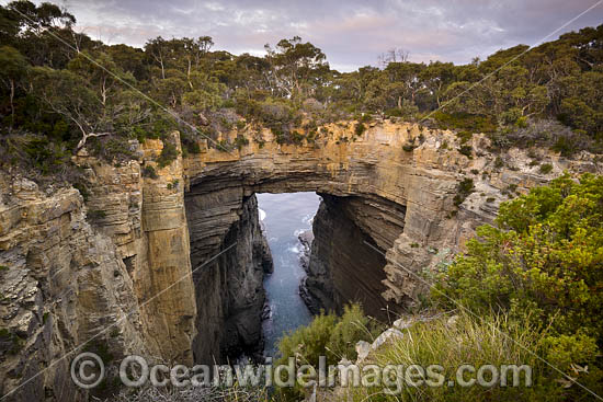 Tasmans Arch Tasmania photo