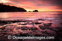 Tessellated Pavement Tasmania Photo - Gary Bell