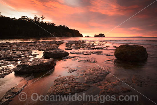 Tessellated Pavement Tasmania photo