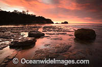 Tessellated Pavement Tasmania Photo - Gary Bell