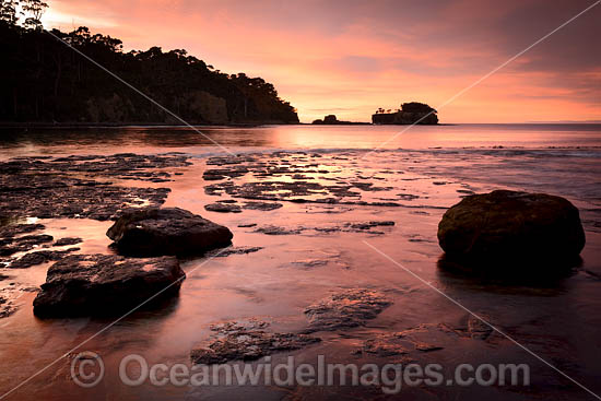 Tessellated Pavement Tasmania photo