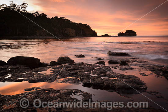 Tessellated Pavement Tasmania photo