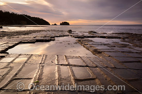 Tessellated Pavement Tasmania photo