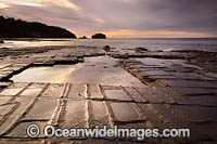 Tessellated Pavement Tasmania Photo - Gary Bell