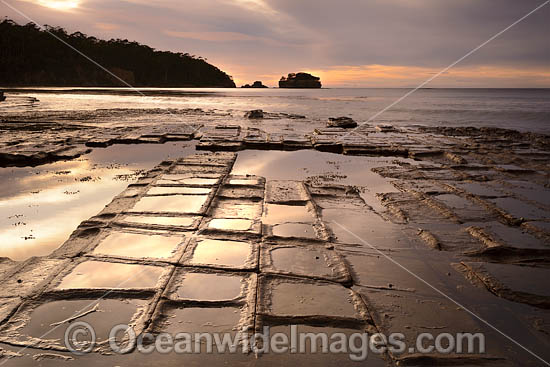 Tessellated Pavement Tasmania photo