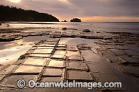 Tessellated Pavement Tasmania Photo - Gary Bell