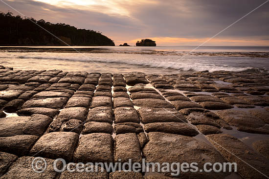 Tessellated Pavement Tasmania photo
