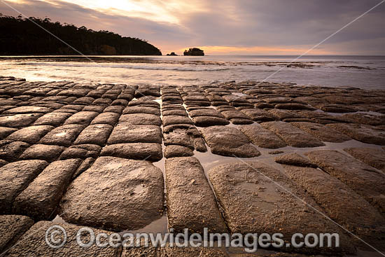 Tessellated Pavement Tasmania photo