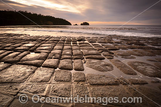 Tessellated Pavement Tasmania photo