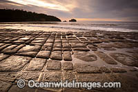 Tessellated Pavement Tasmania Photo - Gary Bell