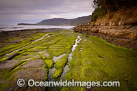 Tessellated Pavement Tasmania Photo - Gary Bell