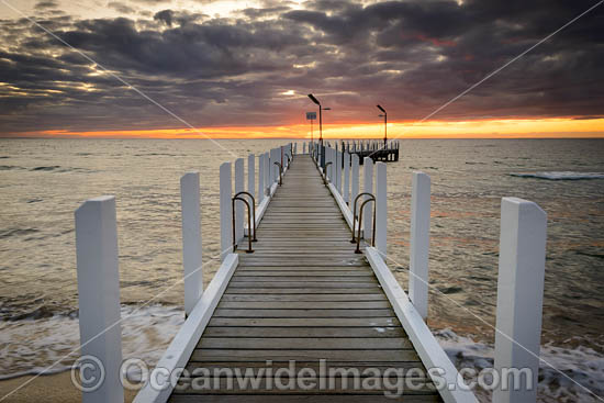 Safety Beach Jetty Victoria photo Safety Beach Jetty Victoria photo
