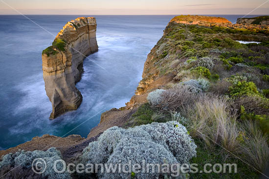 Razorback Port Campbell photo Razorback Port Campbell photo