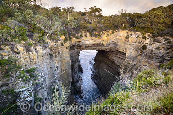 Tasmans Arch Tasmania photo Tasmans Arch Tasmania photo