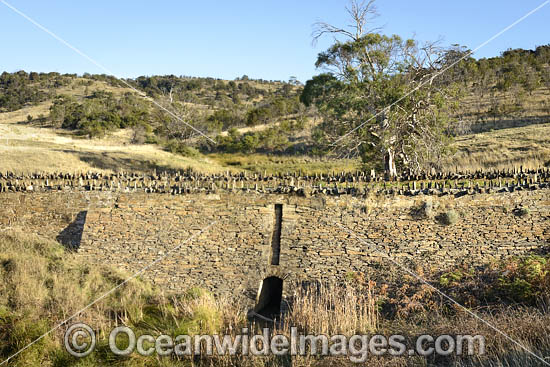 Spiky Bridge Tasmania photo Spiky Bridge Tasmania photo