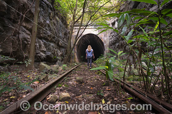Glenreagh Train Tunnel photo Glenreagh Train Tunnel photo