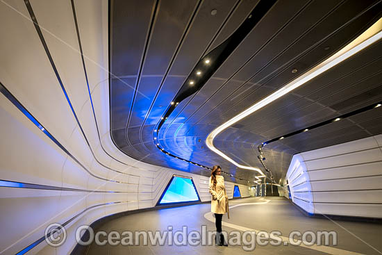 Wynyard Station Sydney photo