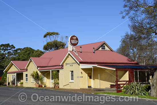 Boggy Creek Pub photo Boggy Creek Pub photo