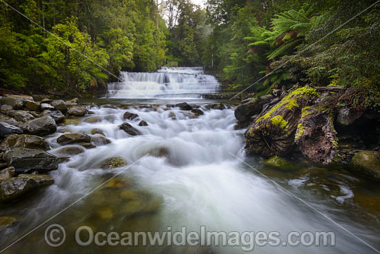 Liffey Falls Tasmania photo Liffey Falls Tasmania photo