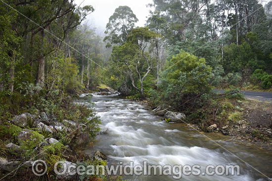 Cradle Mountain photo Cradle Mountain photo