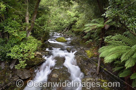 Cradle Mountain photo Cradle Mountain photo