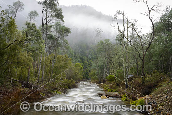 Cradle Mountain photo Cradle Mountain photo