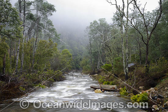 Cradle Mountain photo Cradle Mountain photo