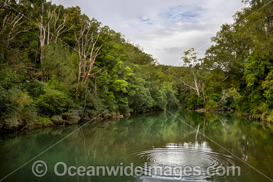 Orara River photo Orara River photo