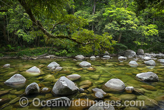 Mossman Gorge photo Mossman Gorge photo