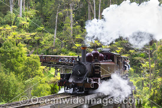 Puffing Billy Steam Train photo Puffing Billy Steam Train photo