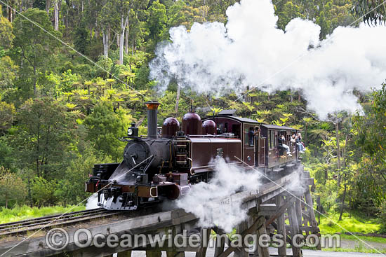Puffing Billy Belgrave photo Puffing Billy Belgrave photo