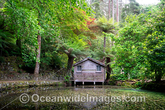 Gardens Sherbrooke photo Gardens Sherbrooke photo