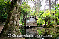 Gardens Sherbrooke Photo - Gary Bell
