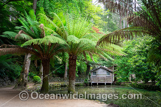 Gardens Sherbrooke photo Gardens Sherbrooke photo