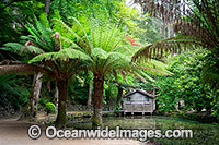 Gardens Sherbrooke Photo - Gary Bell