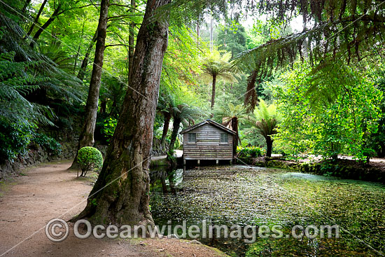 Gardens Sherbrooke photo Gardens Sherbrooke photo