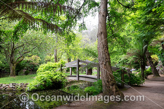 Gardens Sherbrooke photo Gardens Sherbrooke photo