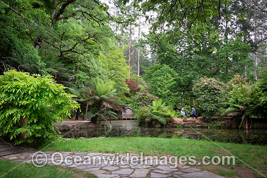 Gardens Sherbrooke photo Gardens Sherbrooke photo