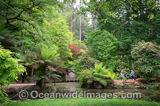 Gardens Sherbrooke photo Gardens Sherbrooke photo