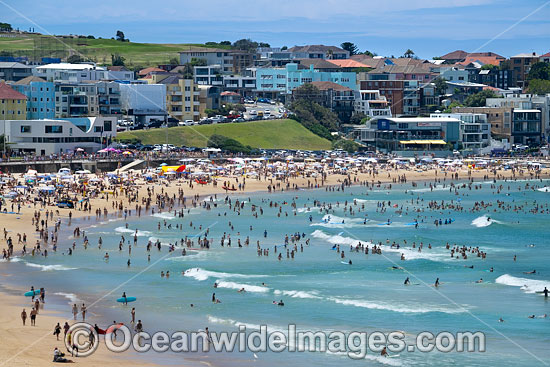 Bondi Beach photo Bondi Beach photo