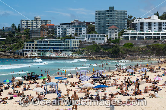 Bondi Beach photo Bondi Beach photo