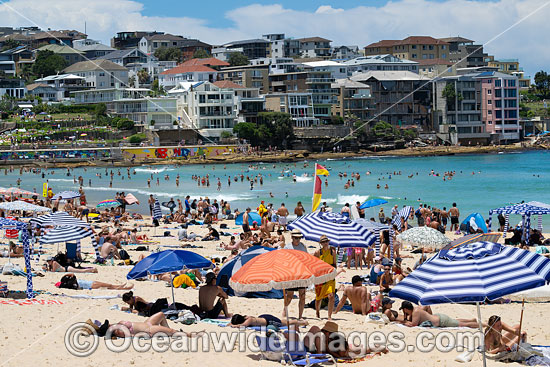 Bondi Beach photo Bondi Beach photo