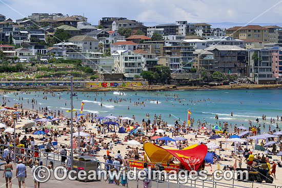 Bondi Beach photo Bondi Beach photo