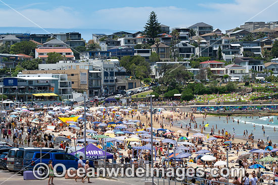 Bondi Beach photo Bondi Beach photo