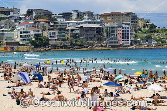 Bondi Beach photo Bondi Beach photo