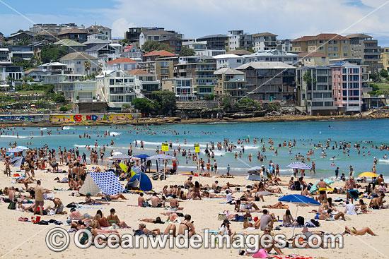 Bondi Beach photo Bondi Beach photo
