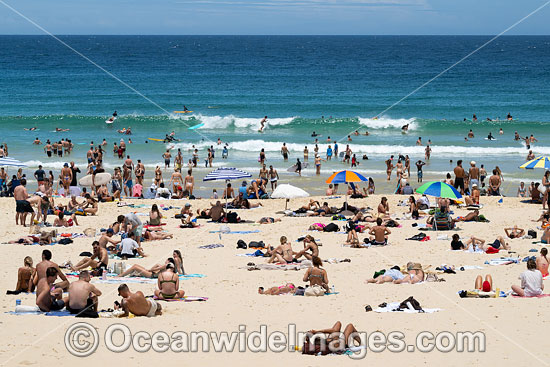 Bondi Beach photo Bondi Beach photo
