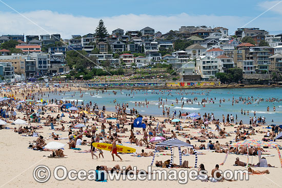 Bondi Beach photo Bondi Beach photo