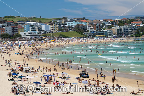 Bondi Beach photo Bondi Beach photo